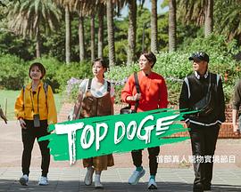小蝌蚪视频《TOP DOG》免费在线观看