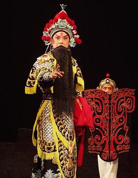 小黄书《袁崇焕2009》免费在线观看