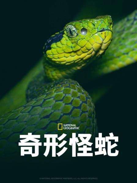 小黄书《奇形怪蛇》免费在线观看